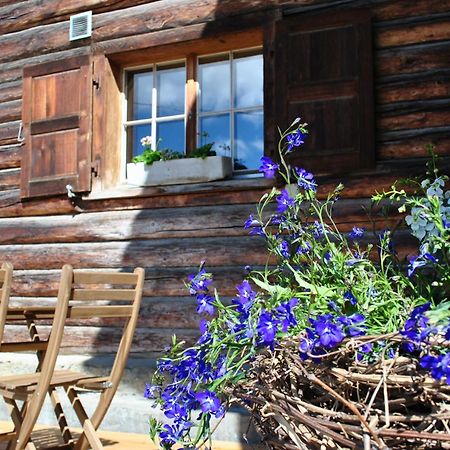 Apartament Hof Surri Schiers Zewnętrze zdjęcie